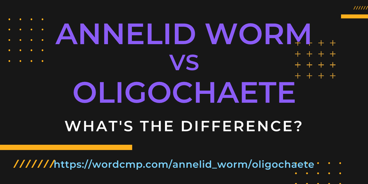 Difference between annelid worm and oligochaete