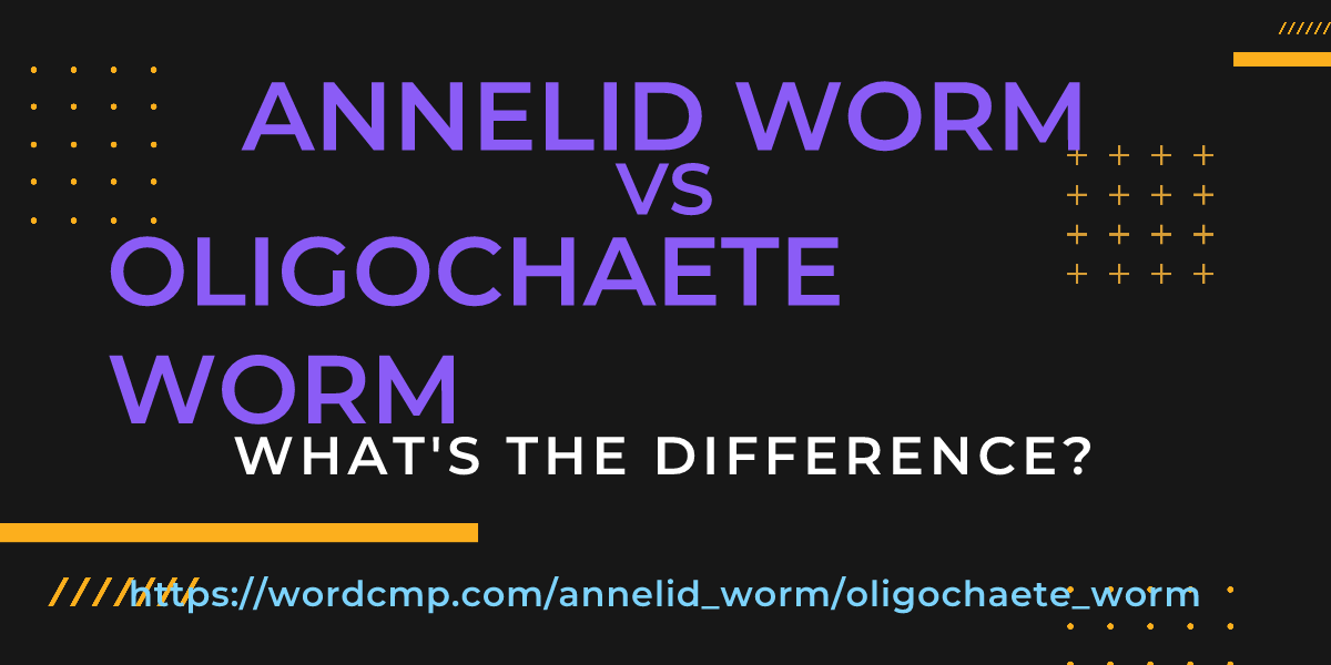 Difference between annelid worm and oligochaete worm
