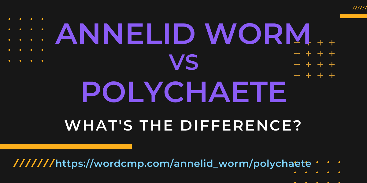 Difference between annelid worm and polychaete
