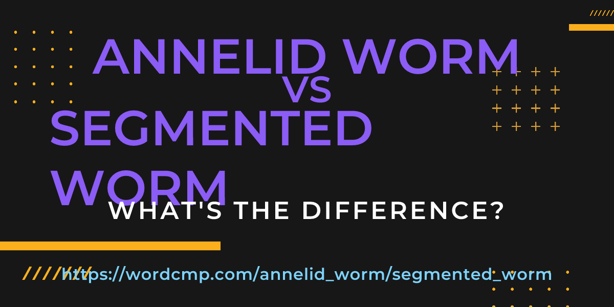 Difference between annelid worm and segmented worm