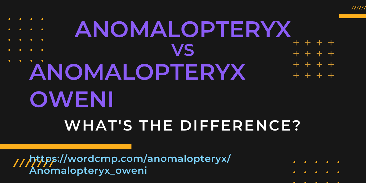Difference between anomalopteryx and Anomalopteryx oweni