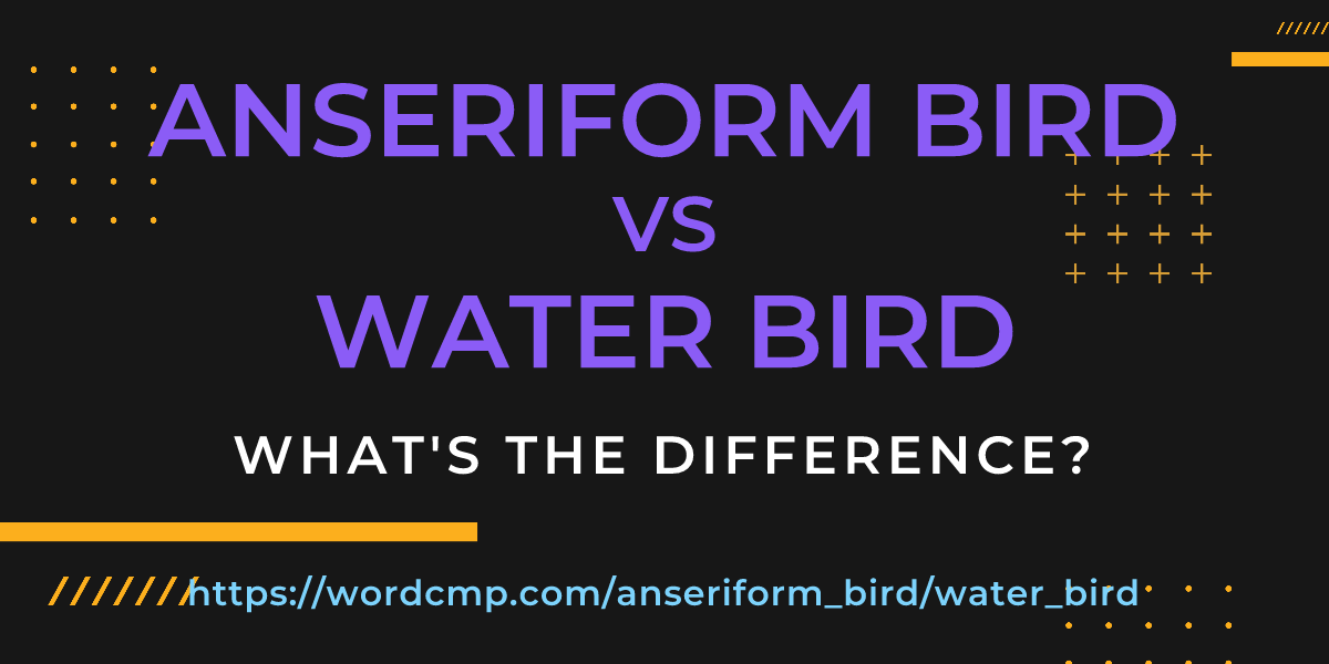 Difference between anseriform bird and water bird