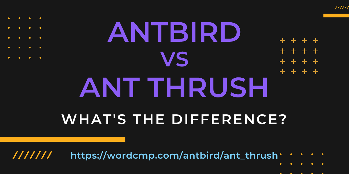 Difference between antbird and ant thrush