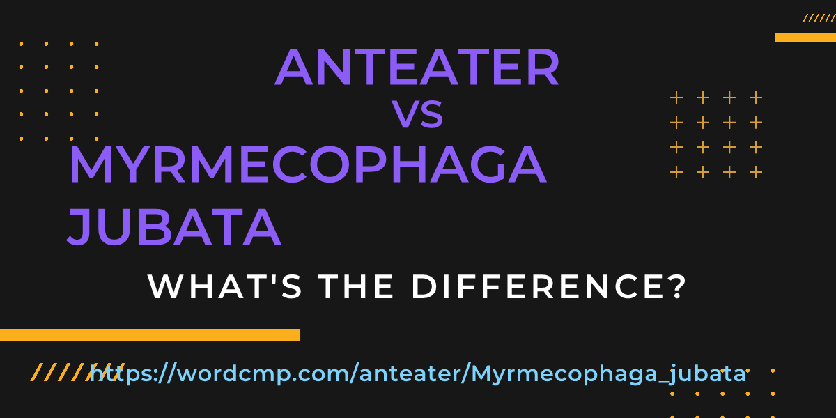 Difference between anteater and Myrmecophaga jubata
