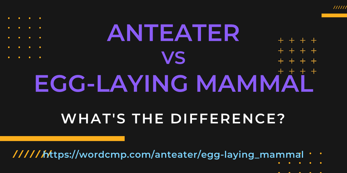 Difference between anteater and egg-laying mammal