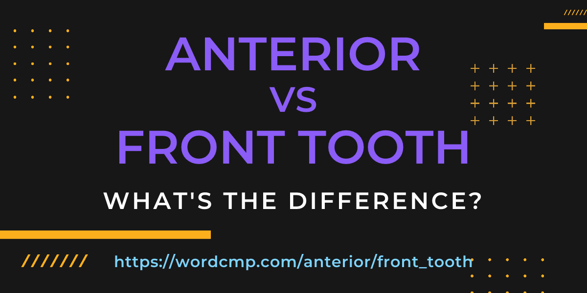 Difference between anterior and front tooth