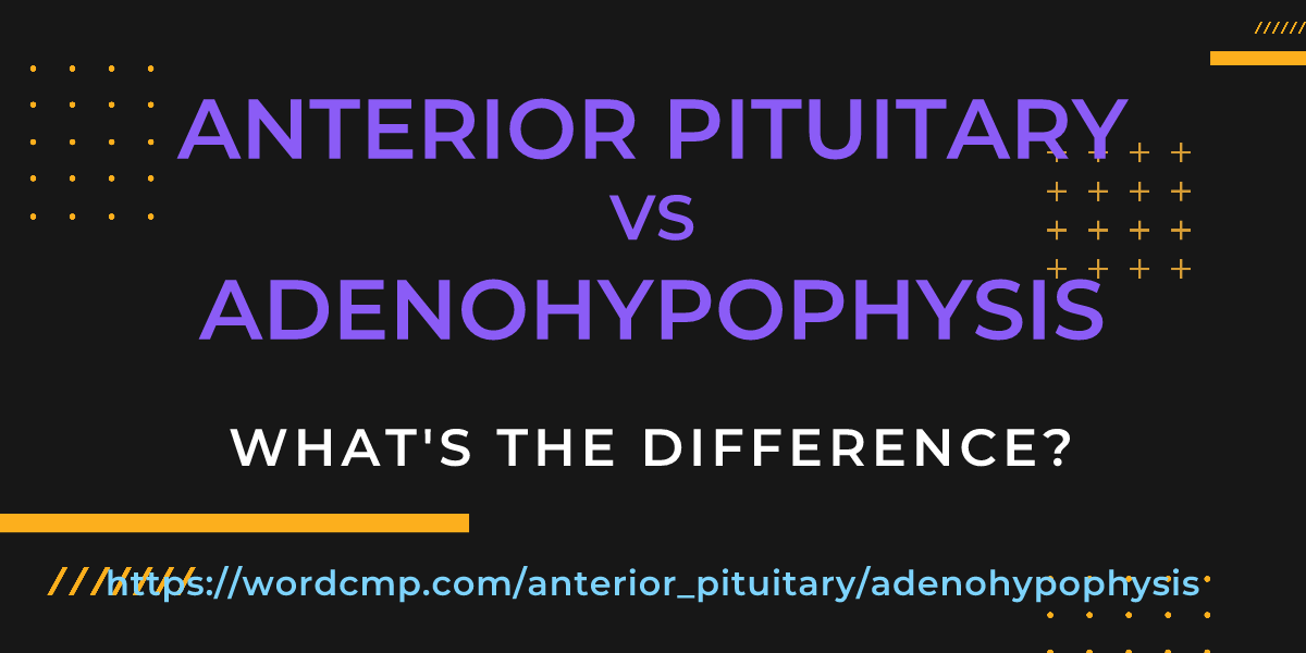 Difference between anterior pituitary and adenohypophysis