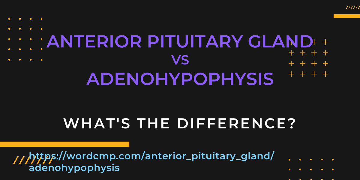 Difference between anterior pituitary gland and adenohypophysis