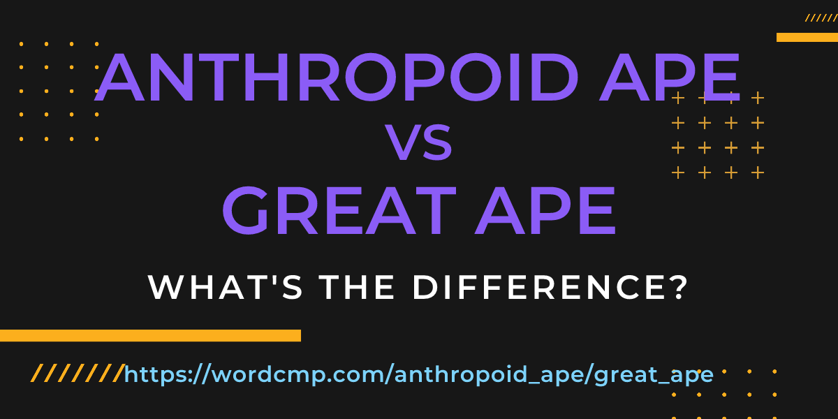 Difference between anthropoid ape and great ape