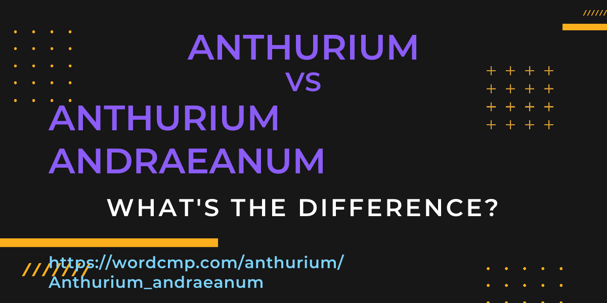Difference between anthurium and Anthurium andraeanum