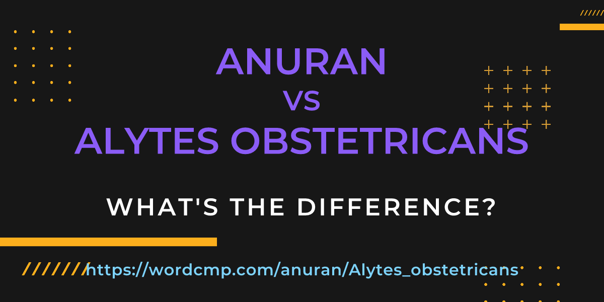 Difference between anuran and Alytes obstetricans