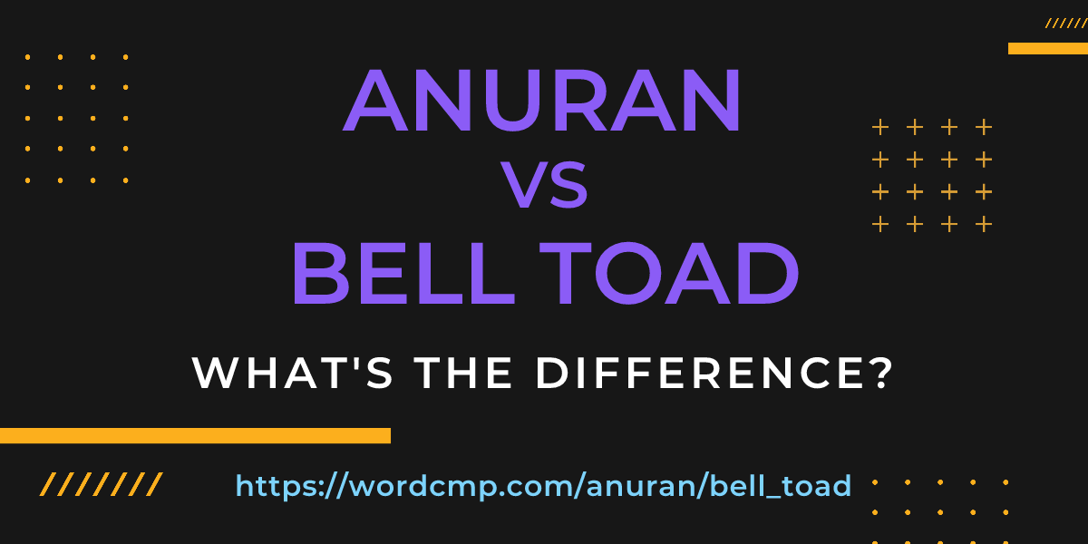 Difference between anuran and bell toad