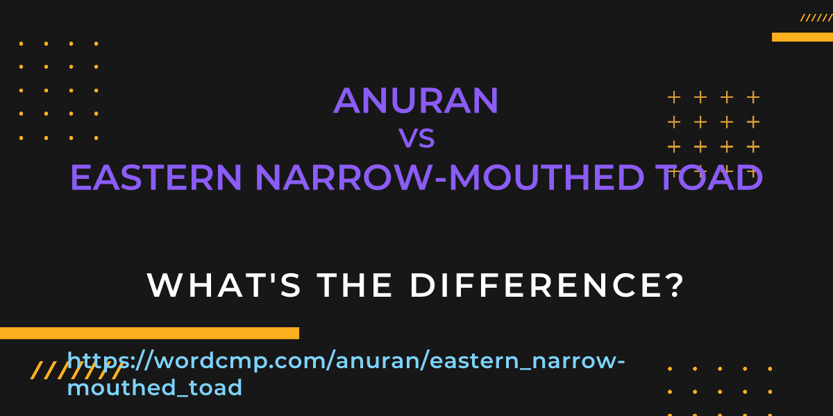 Difference between anuran and eastern narrow-mouthed toad