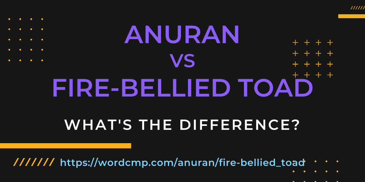 Difference between anuran and fire-bellied toad