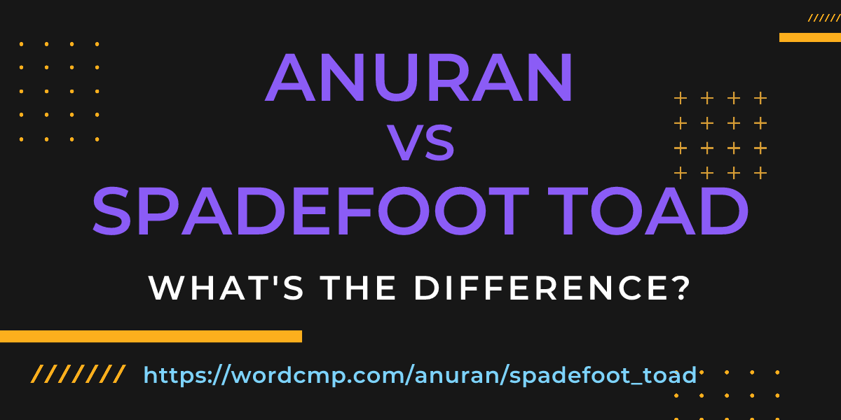 Difference between anuran and spadefoot toad