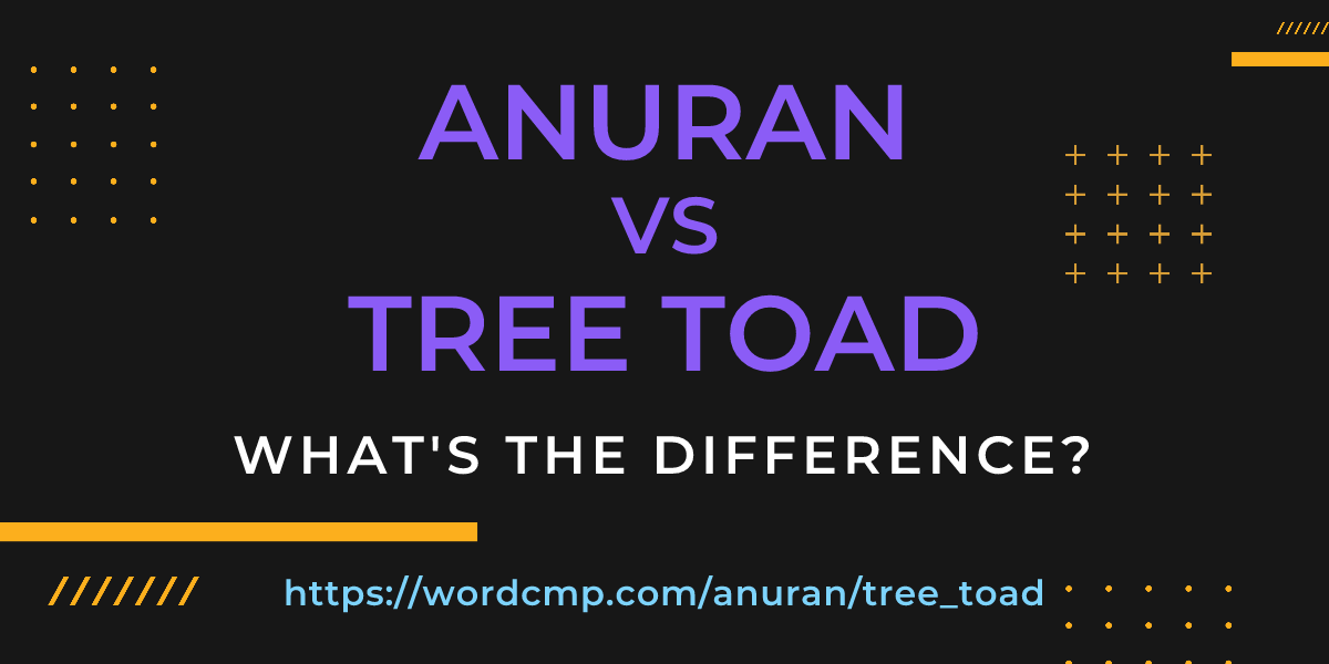 Difference between anuran and tree toad