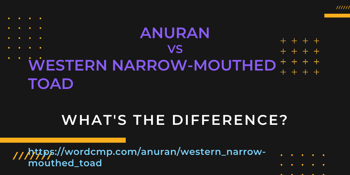 Difference between anuran and western narrow-mouthed toad