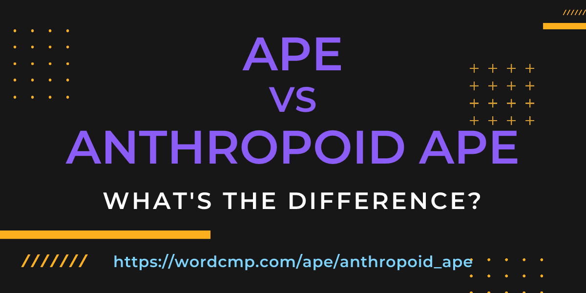 Difference between ape and anthropoid ape