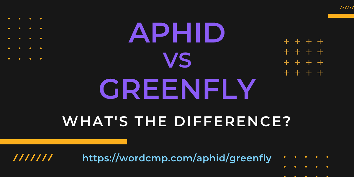 Difference between aphid and greenfly