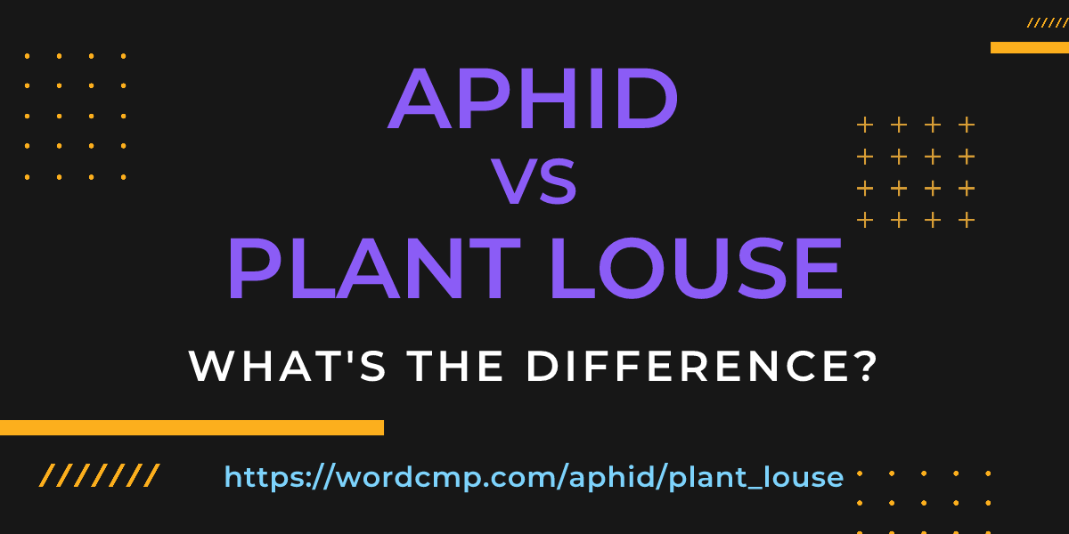 Difference between aphid and plant louse