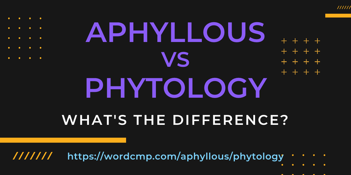 Difference between aphyllous and phytology