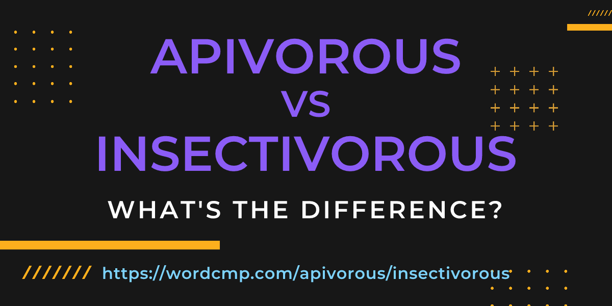 Difference between apivorous and insectivorous