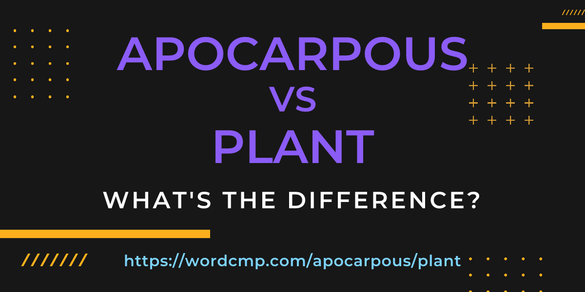 Difference between apocarpous and plant