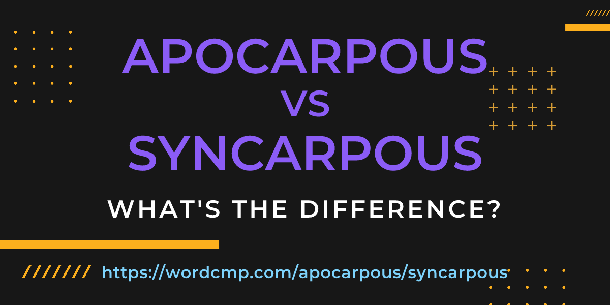 Difference between apocarpous and syncarpous