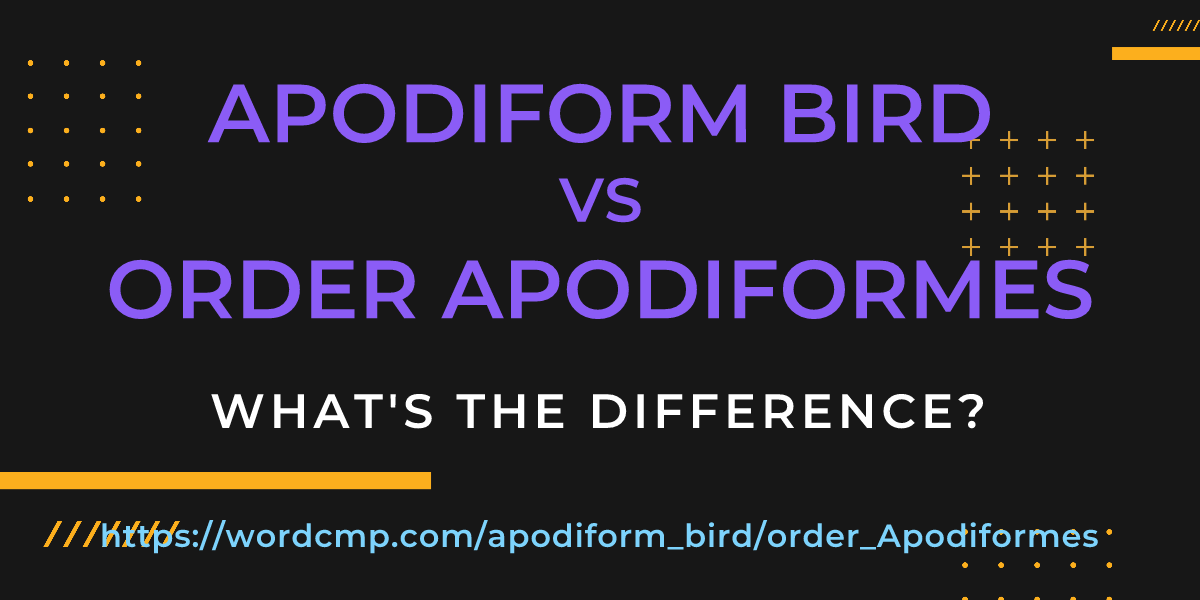 Difference between apodiform bird and order Apodiformes