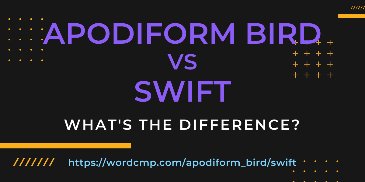 Difference between apodiform bird and swift