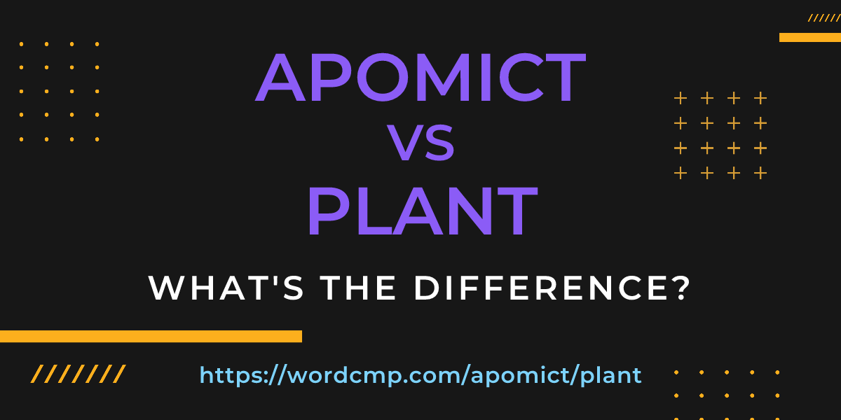 Difference between apomict and plant