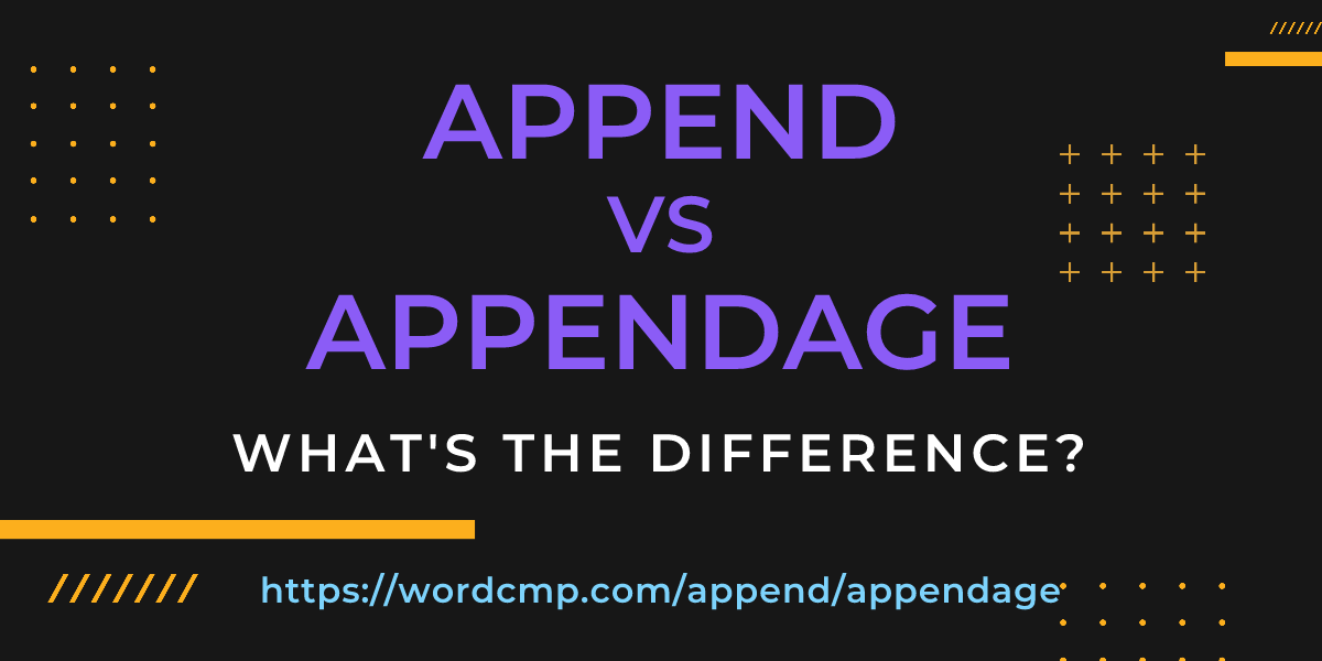 Difference between append and appendage