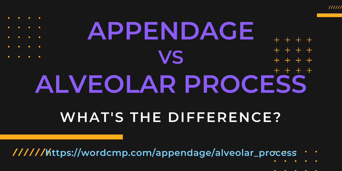 Difference between appendage and alveolar process