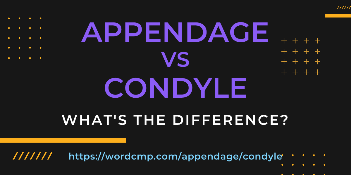 Difference between appendage and condyle