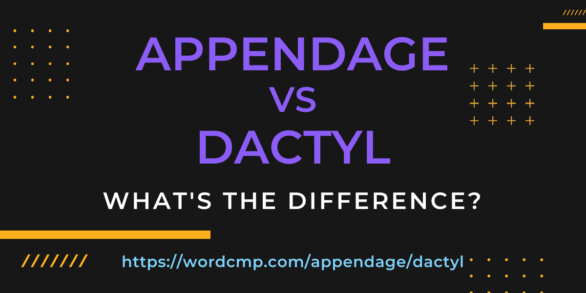 Difference between appendage and dactyl