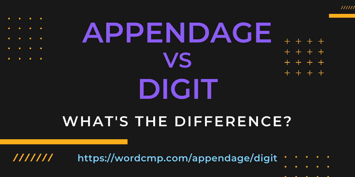 Difference between appendage and digit