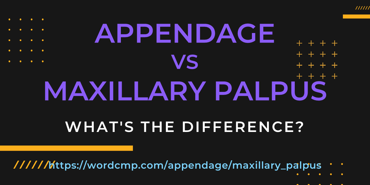 Difference between appendage and maxillary palpus