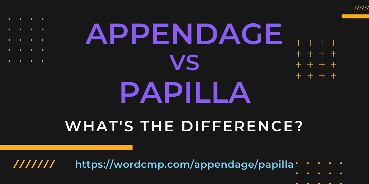 Difference between appendage and papilla