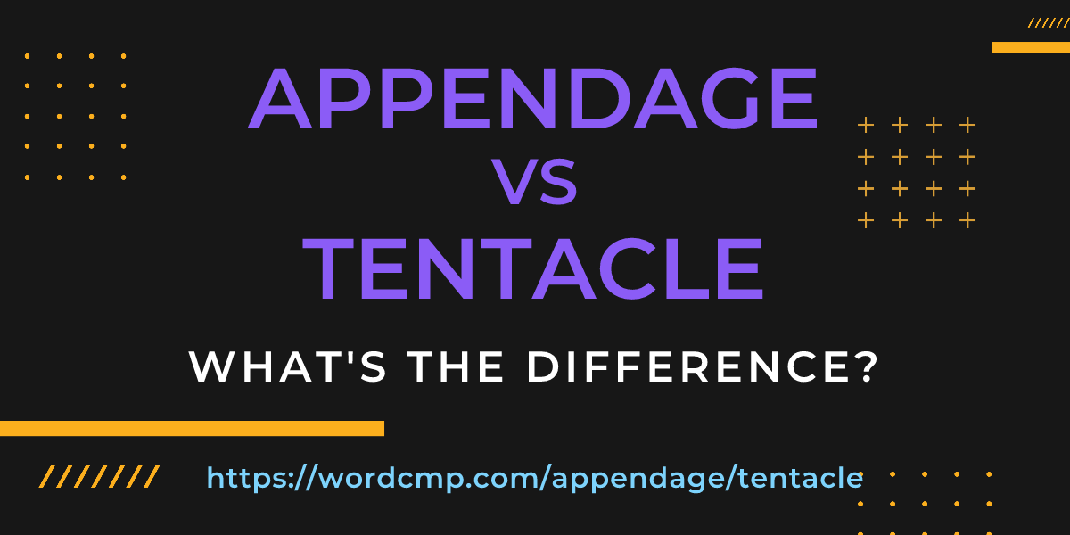 Difference between appendage and tentacle