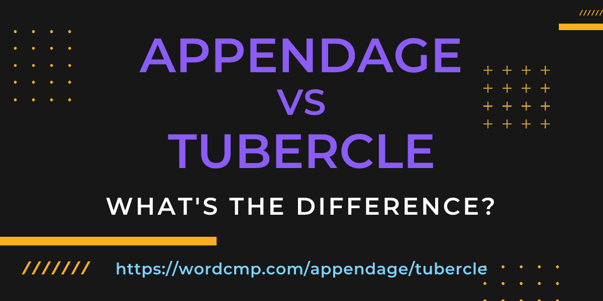 Difference between appendage and tubercle