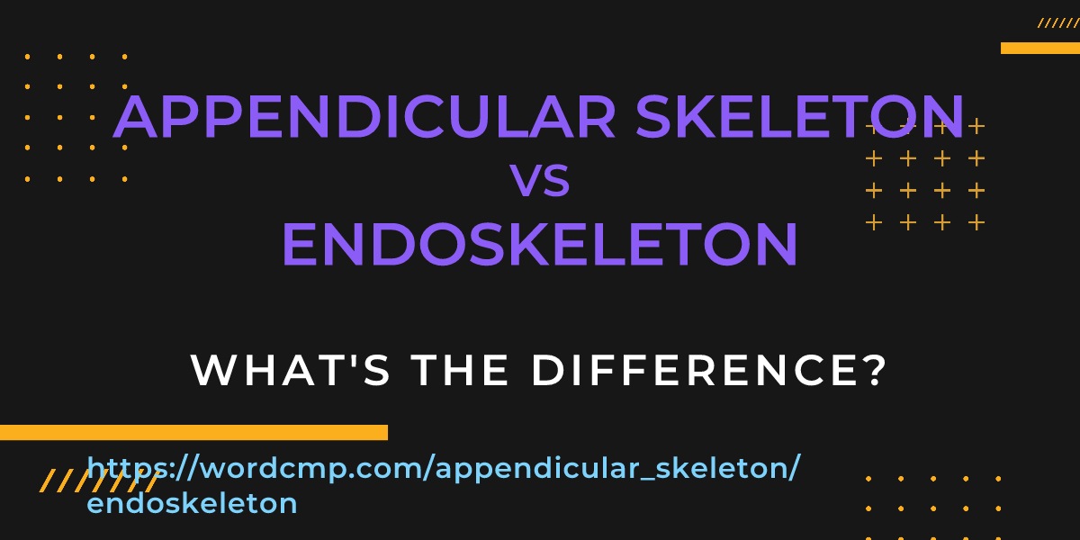 Difference between appendicular skeleton and endoskeleton