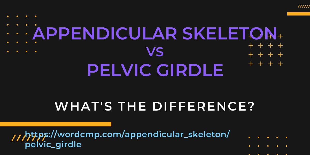 Difference between appendicular skeleton and pelvic girdle