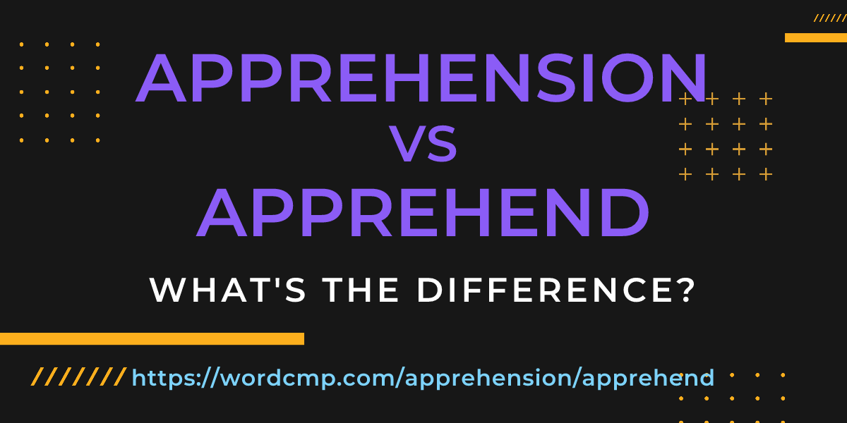 Difference between apprehension and apprehend