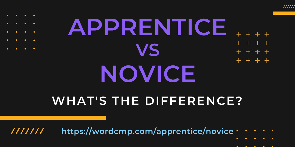 Difference between apprentice and novice