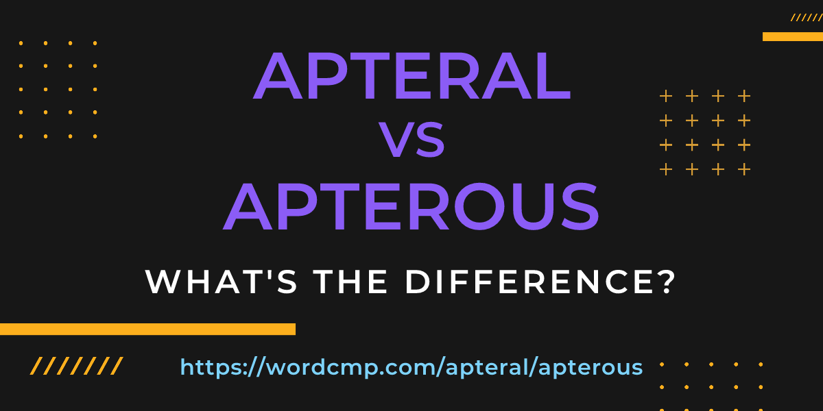 Difference between apteral and apterous