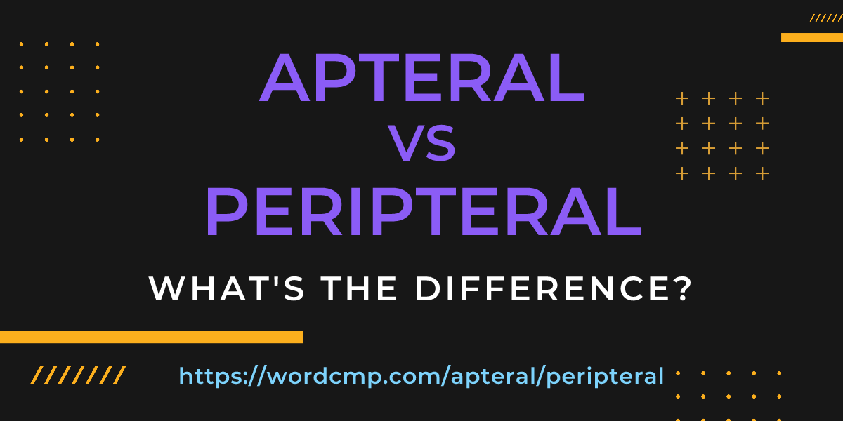 Difference between apteral and peripteral