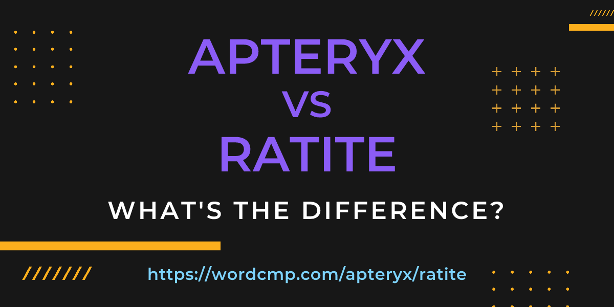 Difference between apteryx and ratite