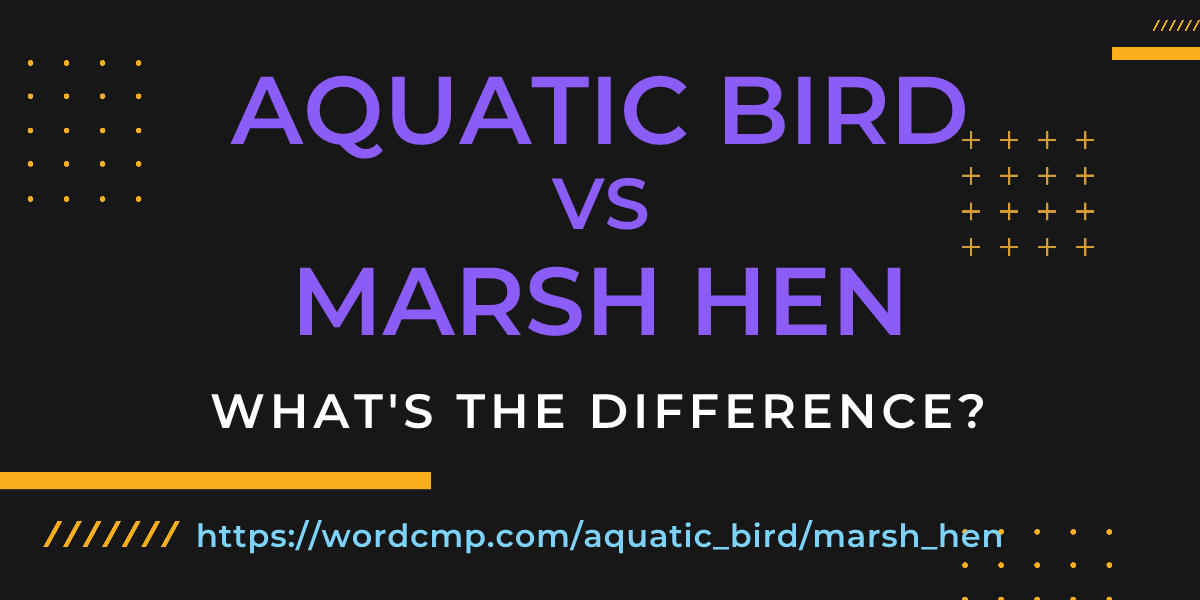 Difference between aquatic bird and marsh hen