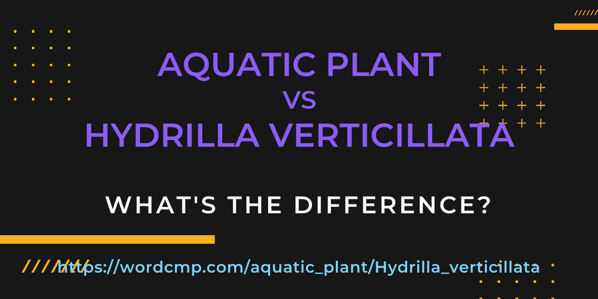 Difference between aquatic plant and Hydrilla verticillata
