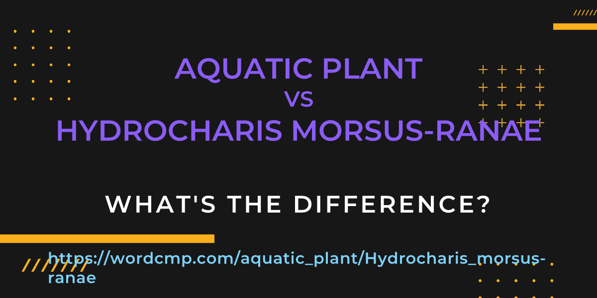 Difference between aquatic plant and Hydrocharis morsus-ranae